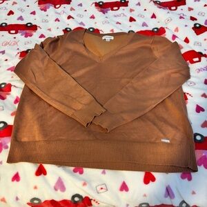 Calvin Klein Women's Brown V-Neck Sweater